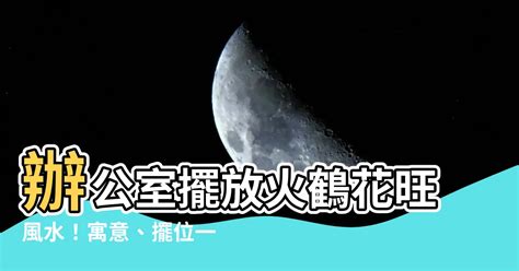 火鶴辦公室風水|各色火鶴花語大解析！不同顏色品種寓意差很大？